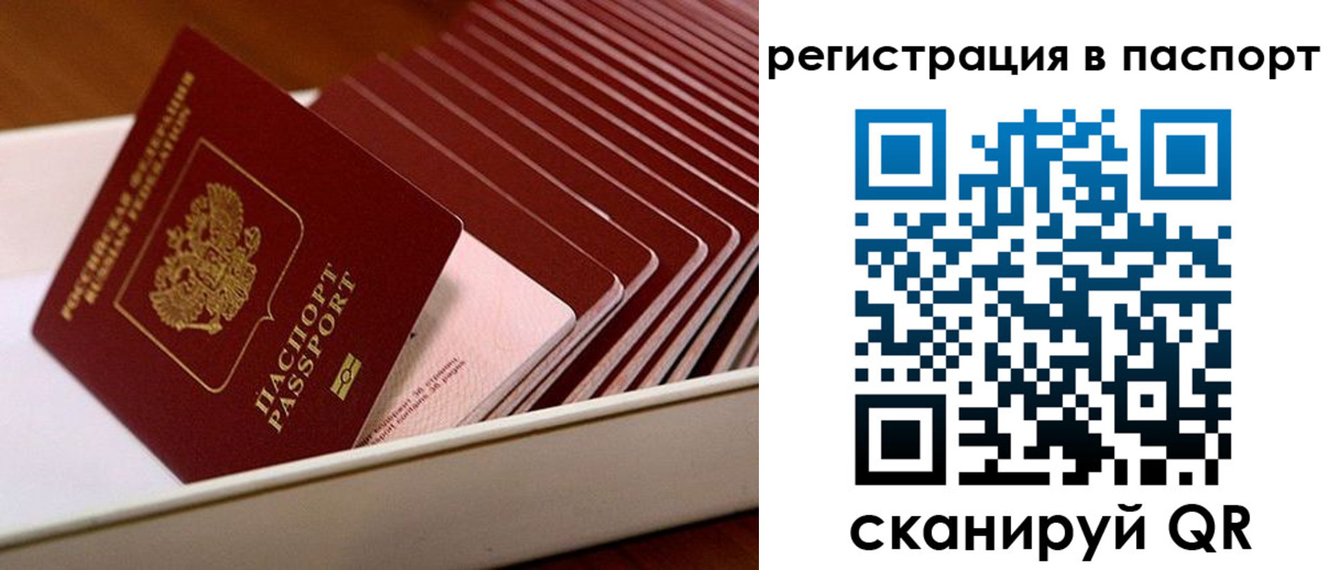форма 3 в Дедовске